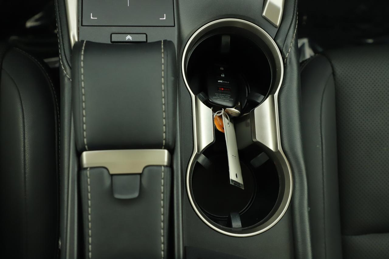 2019 Lexus NX LUXU New Braunfels TX