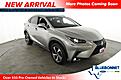 2019 Lexus NX LUXU