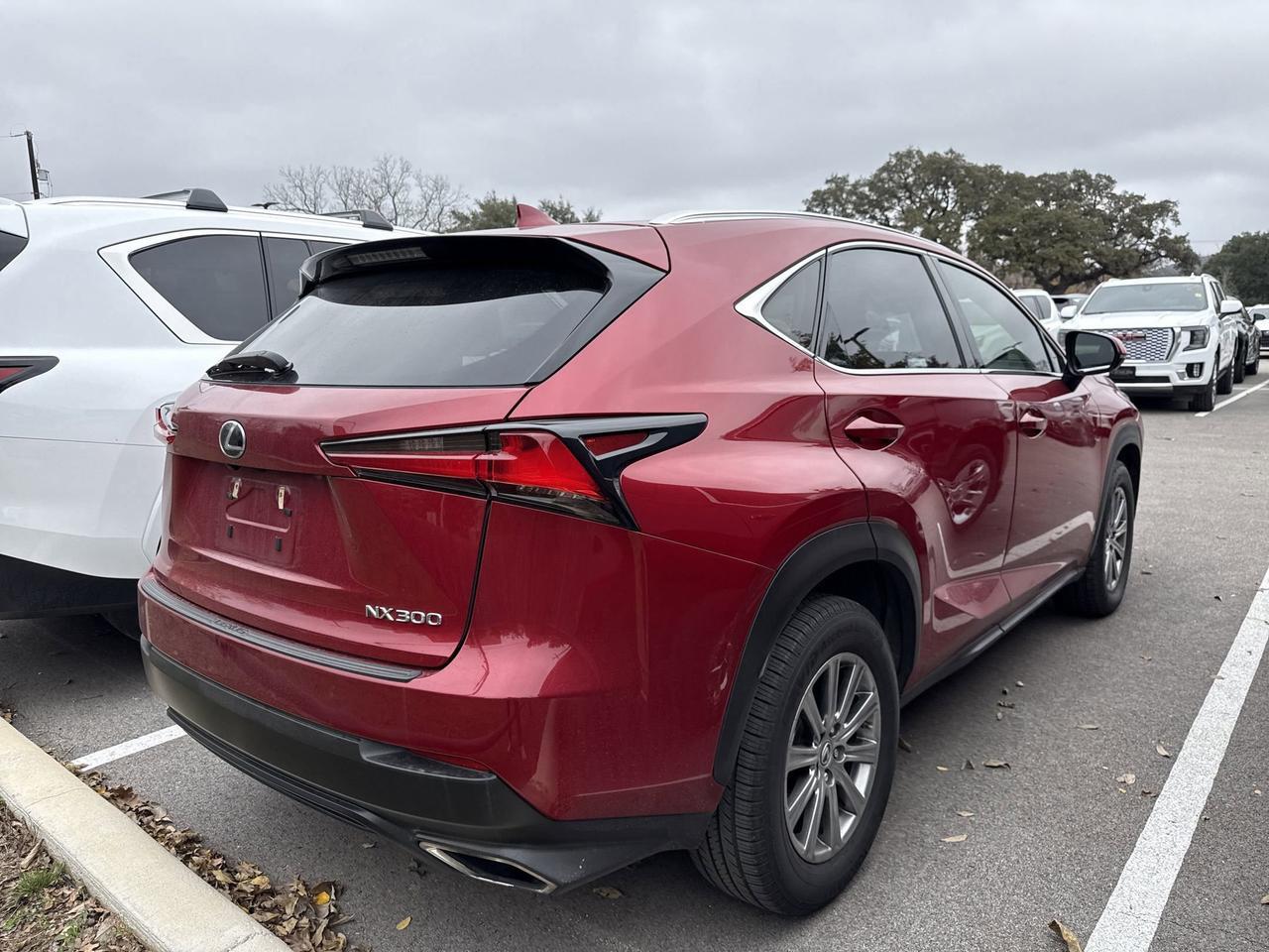 2019 Lexus NX LUXU