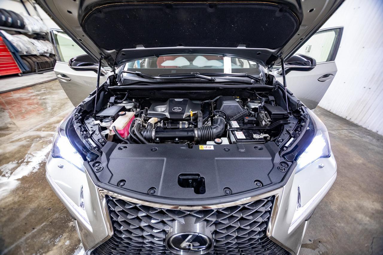 2019 Lexus NX300 AWD F-Sport II Leather Roof Nav BCam Red Deer AB