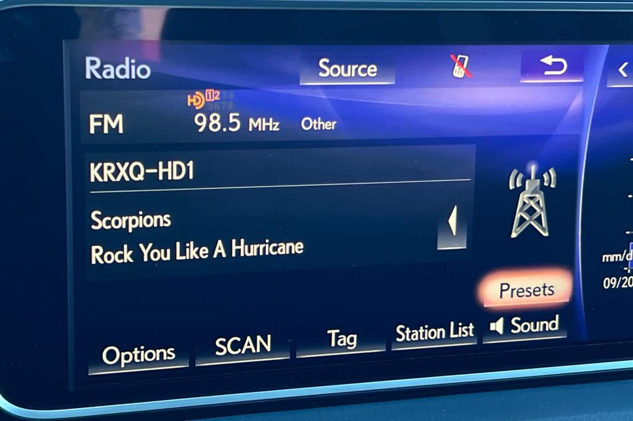 2019 Lexus RX Roseville CA