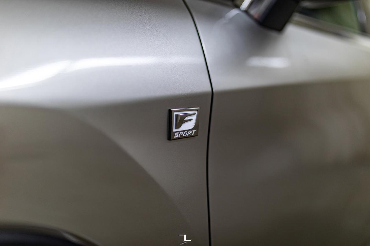 2019 Lexus RX 350 AWD F-Sport III Leather Roof Nav BCam Red Deer AB