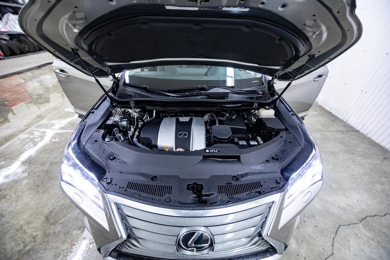 2019 Lexus RX 350 AWD Luxury Leather Roof Nav BCam Red Deer AB