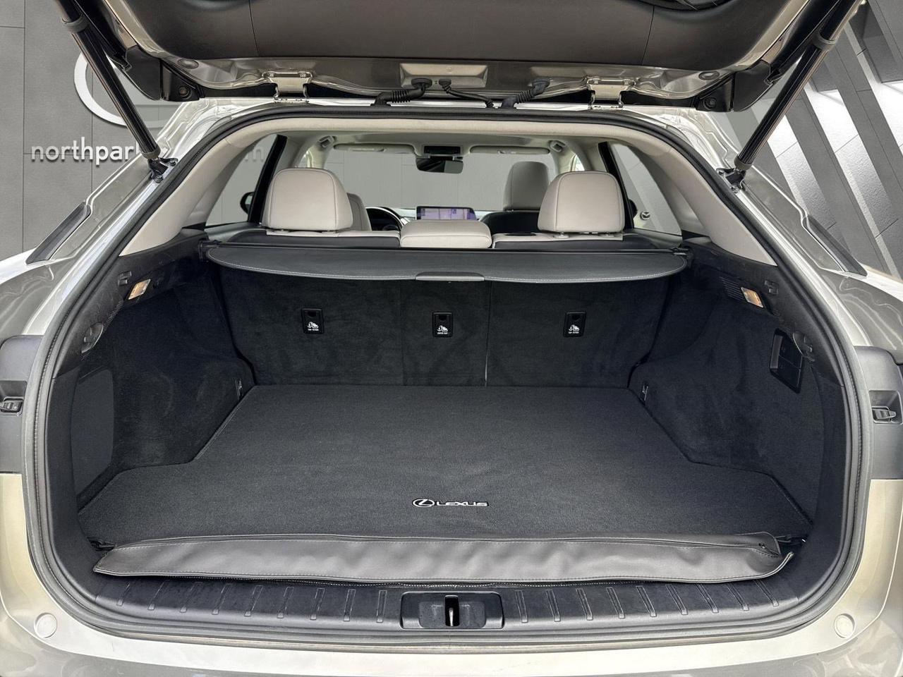 2019 Lexus RX 350 San Antonio TX