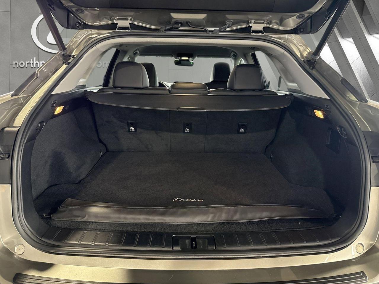 2019 Lexus RX 350 San Antonio TX