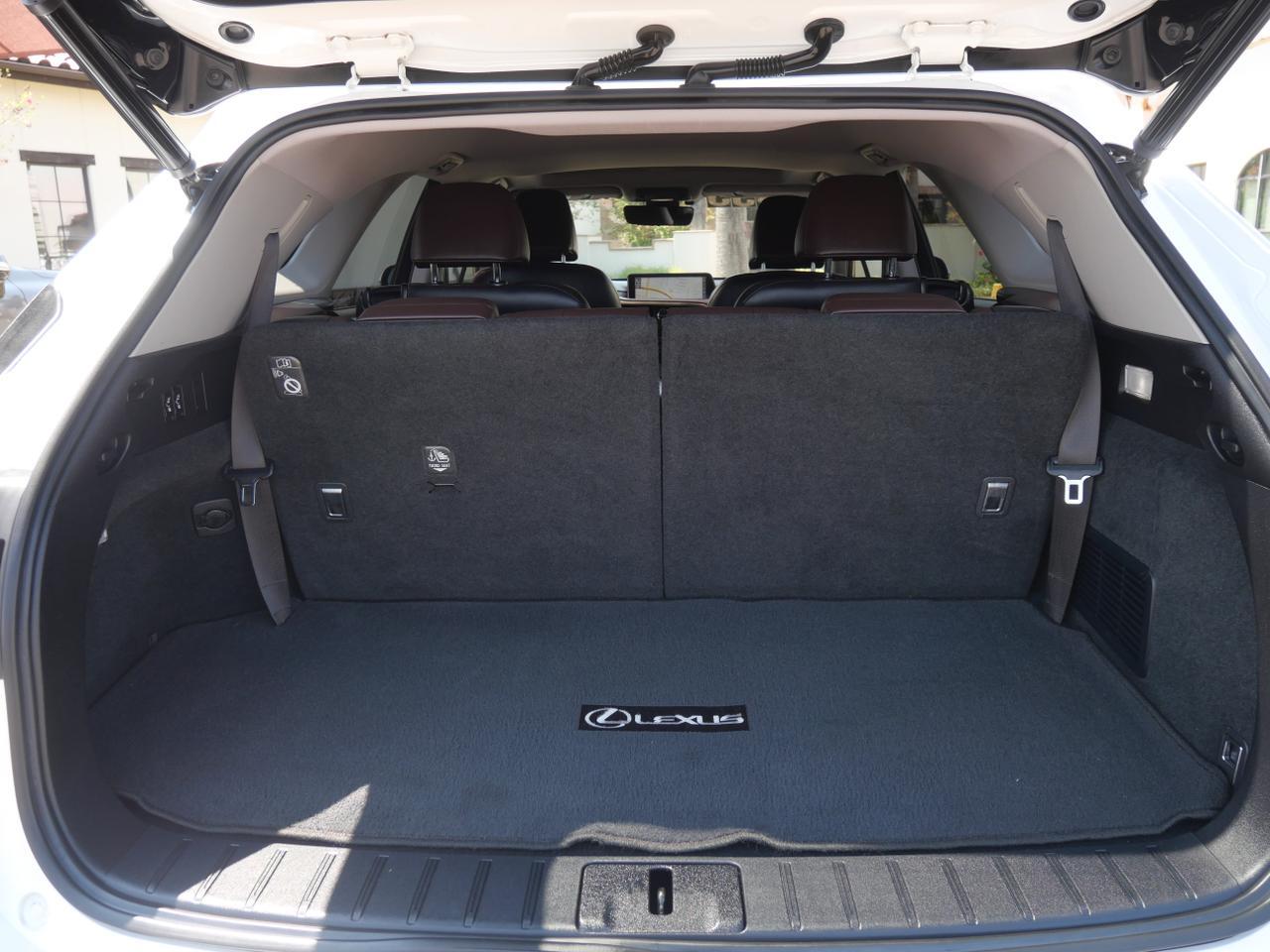 2019 Lexus RX 350L San Juan TX