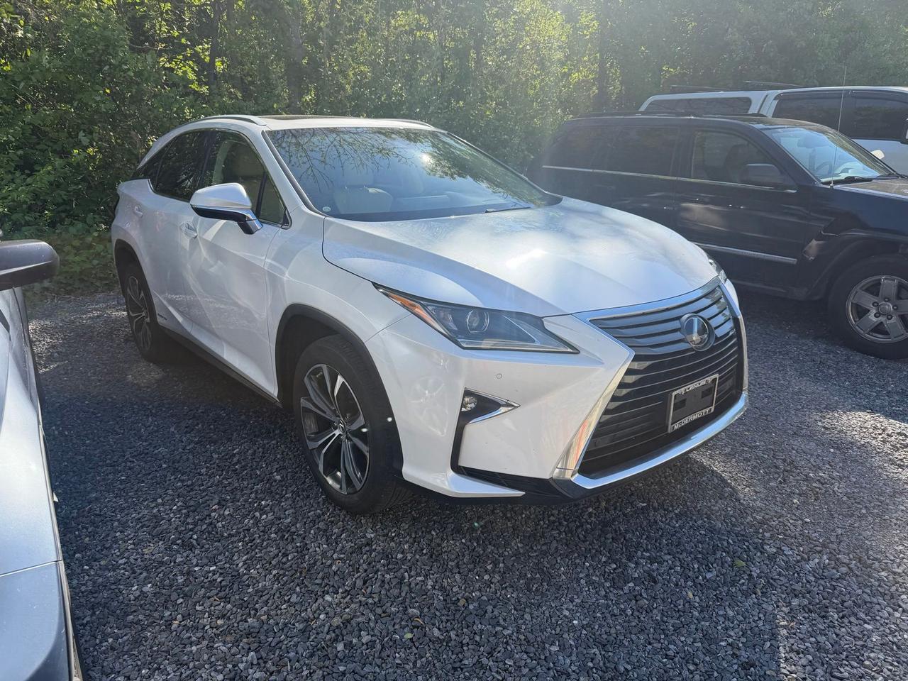 2019 Lexus RX