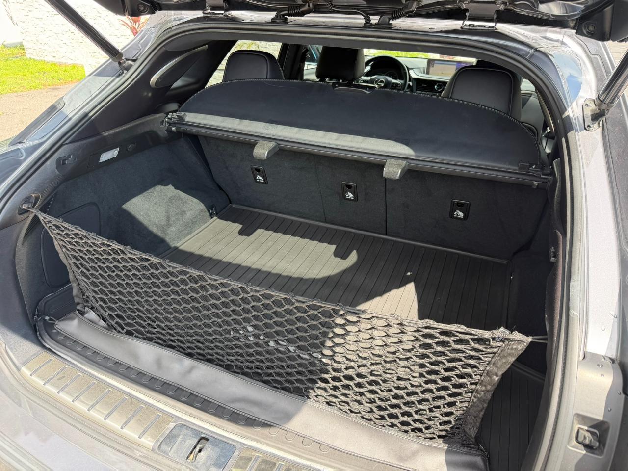 2019 Lexus RX 500h F SPORT Performance AWD Jacksonville FL