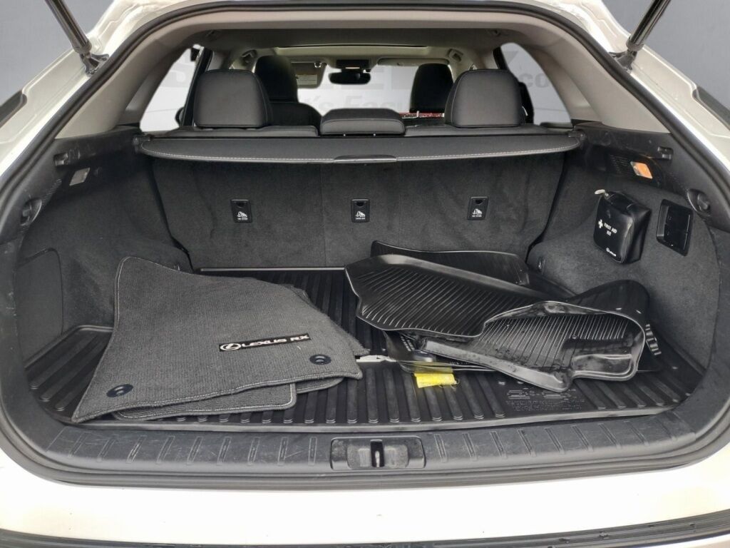 2019 Lexus RX Richmond VA