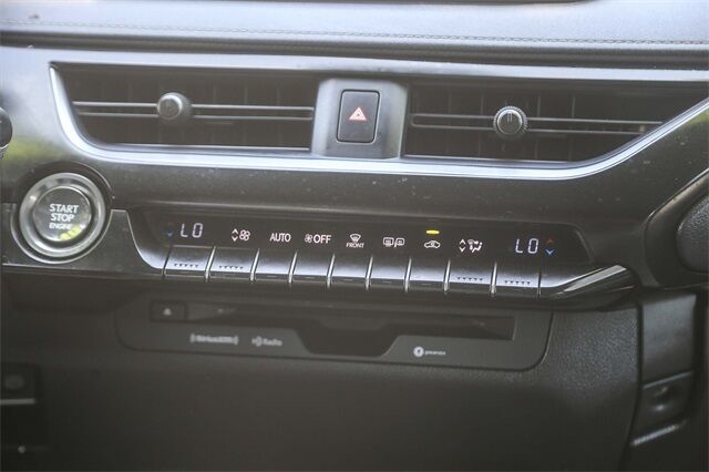 2019 Lexus UX 200 Base Glendale CA