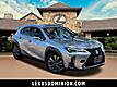 2019 Lexus UX 200 F SPORT