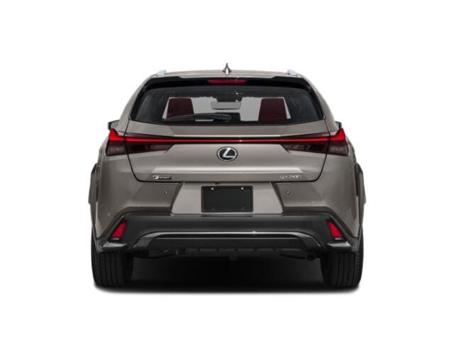 2019 Lexus UX 200 F SPORT San Juan TX
