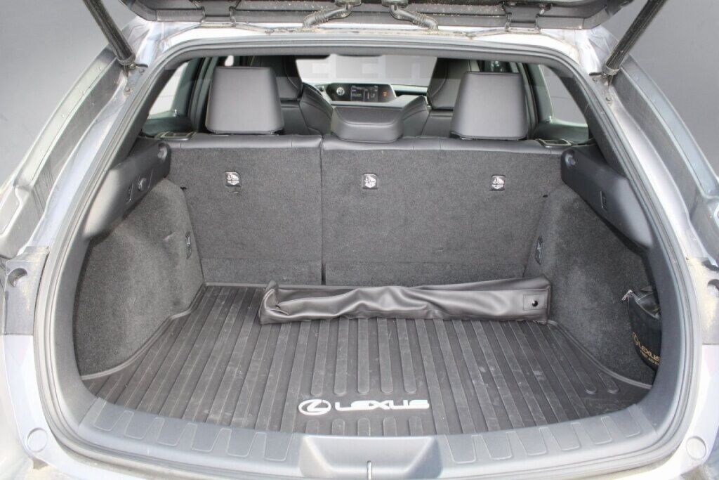 2019 Lexus UX 200 F SPORT Richmond VA