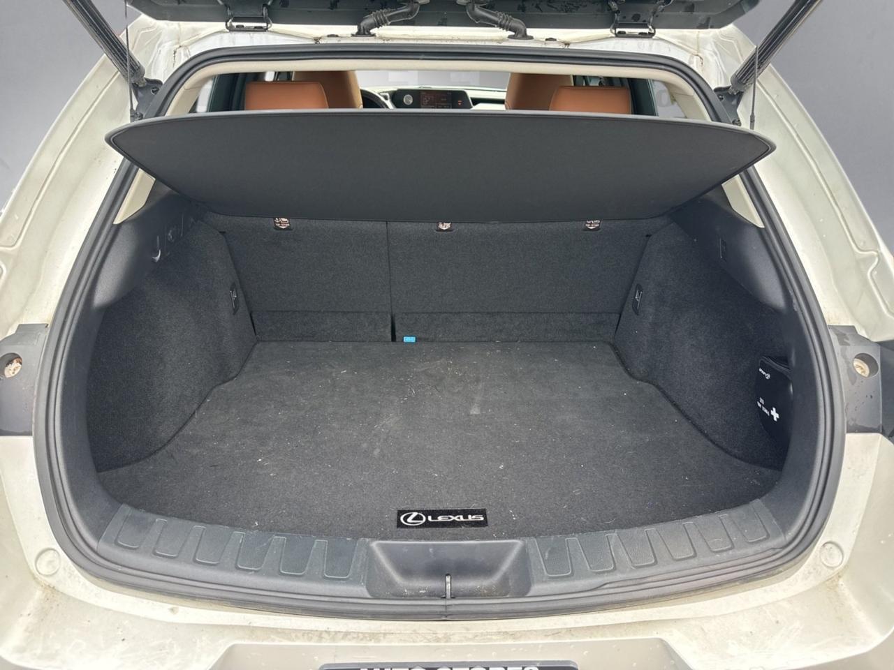 2019 Lexus UX 200 F SPORT Richmond VA