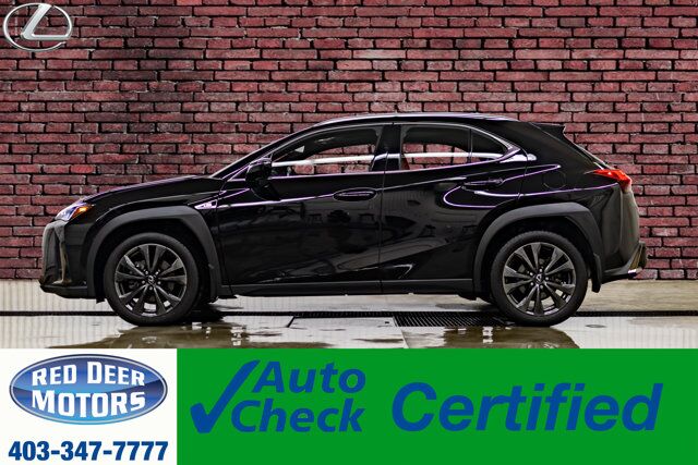 2019 Lexus UX 200 F-Sport Leather Roof BCam