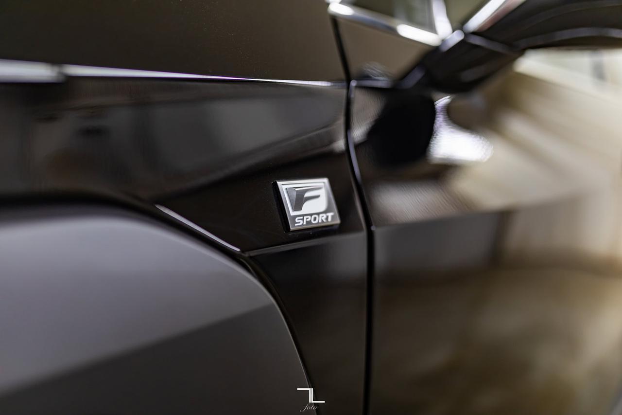 2019 Lexus UX 200 F-Sport Leather Roof BCam Red Deer AB