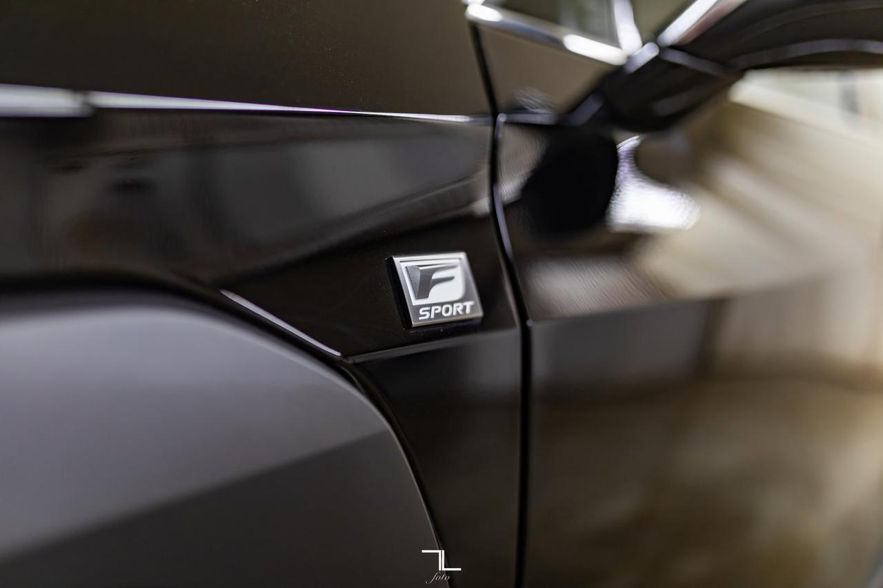 2019 Lexus UX 200 F-Sport Leather Roof BCam Red Deer AB