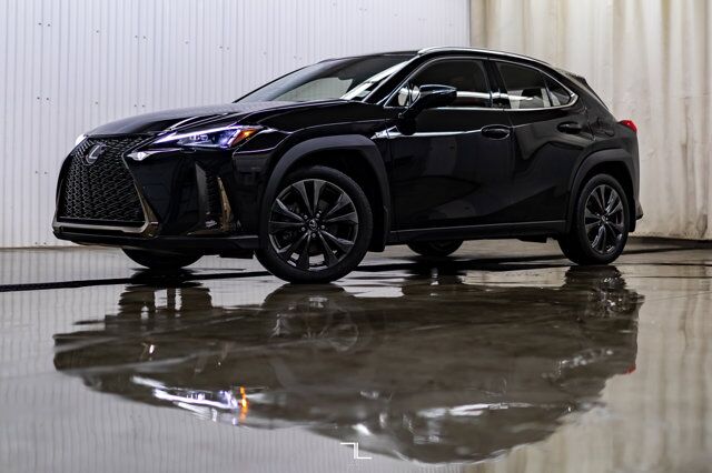 2019 Lexus UX 200 F-Sport Leather Roof BCam Red Deer AB