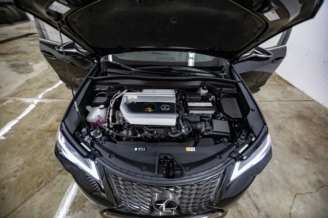 2019 Lexus UX 200 F-Sport Leather Roof BCam Red Deer AB