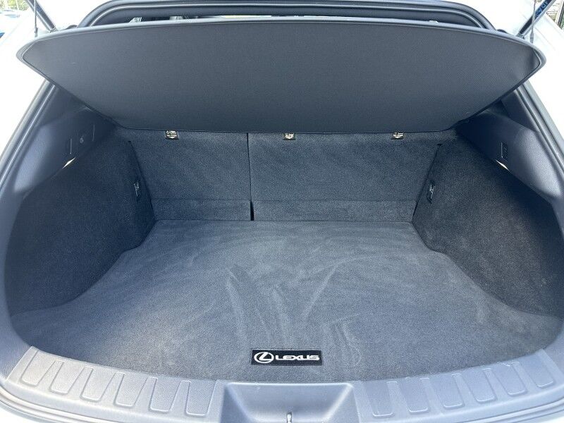 2019 Lexus UX 200 Jacksonville FL