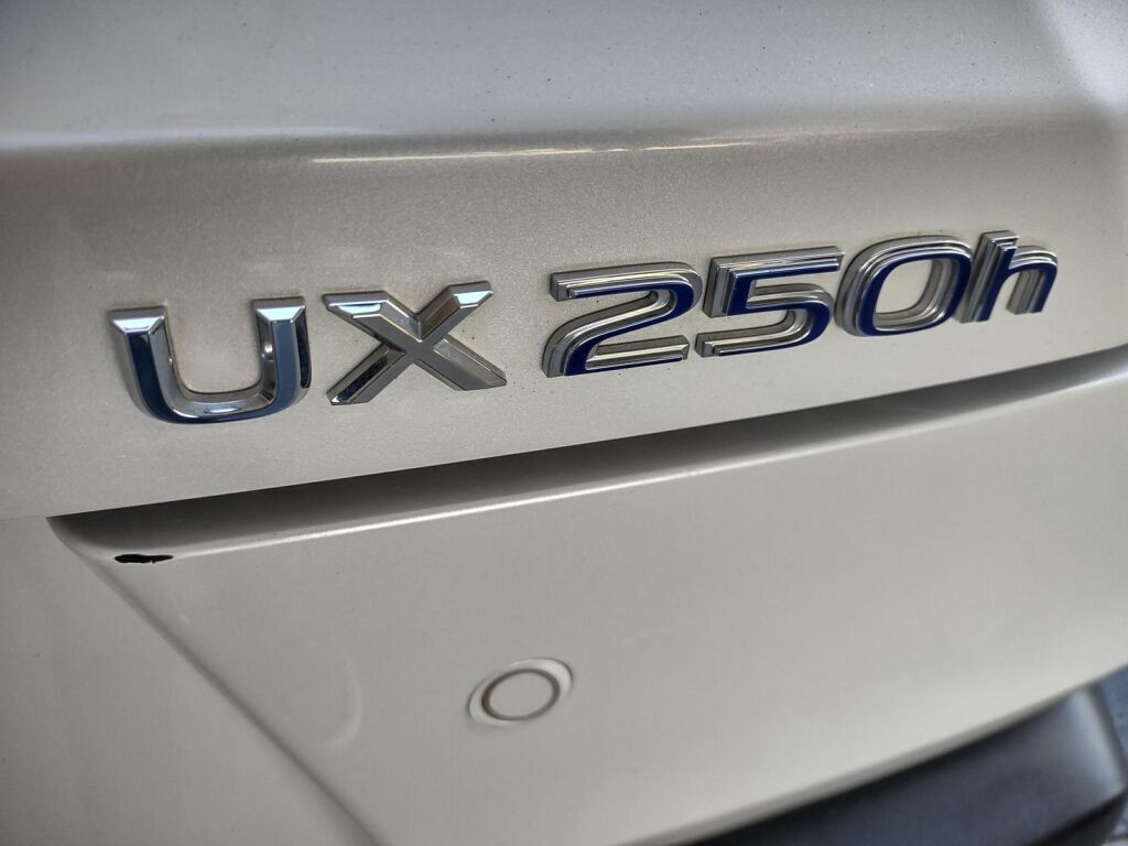 2019 Lexus UX 250h Base Richmond VA