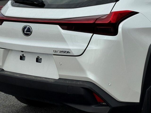 2019 Lexus UX 250h Base Springfield VA