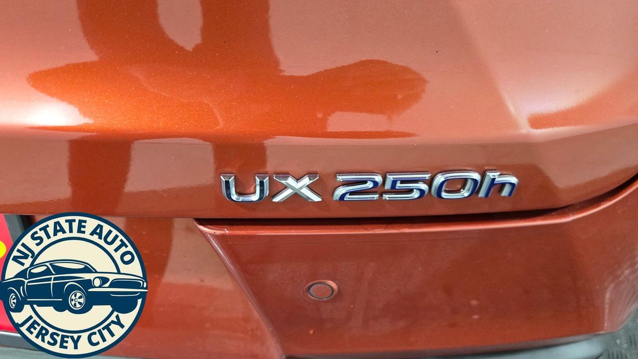 2019 Lexus UX 250h F SPORT Jersey City NJ