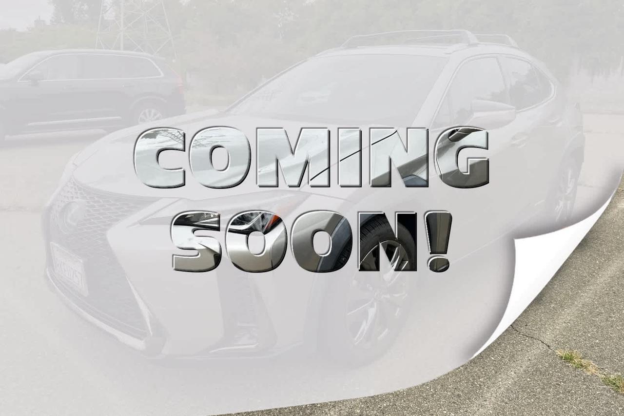 2019 Lexus UX 250h F SPORT