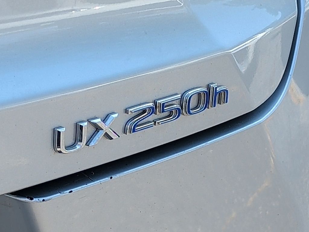 2019 Lexus UX 250h F SPORT Worcester MA