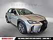 2019 Lexus UX 250h F SPORT