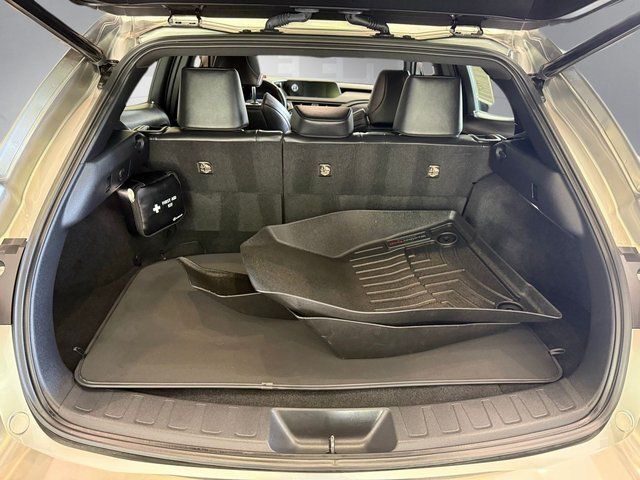 2019 Lexus UX 250h F SPORT Annapolis MD