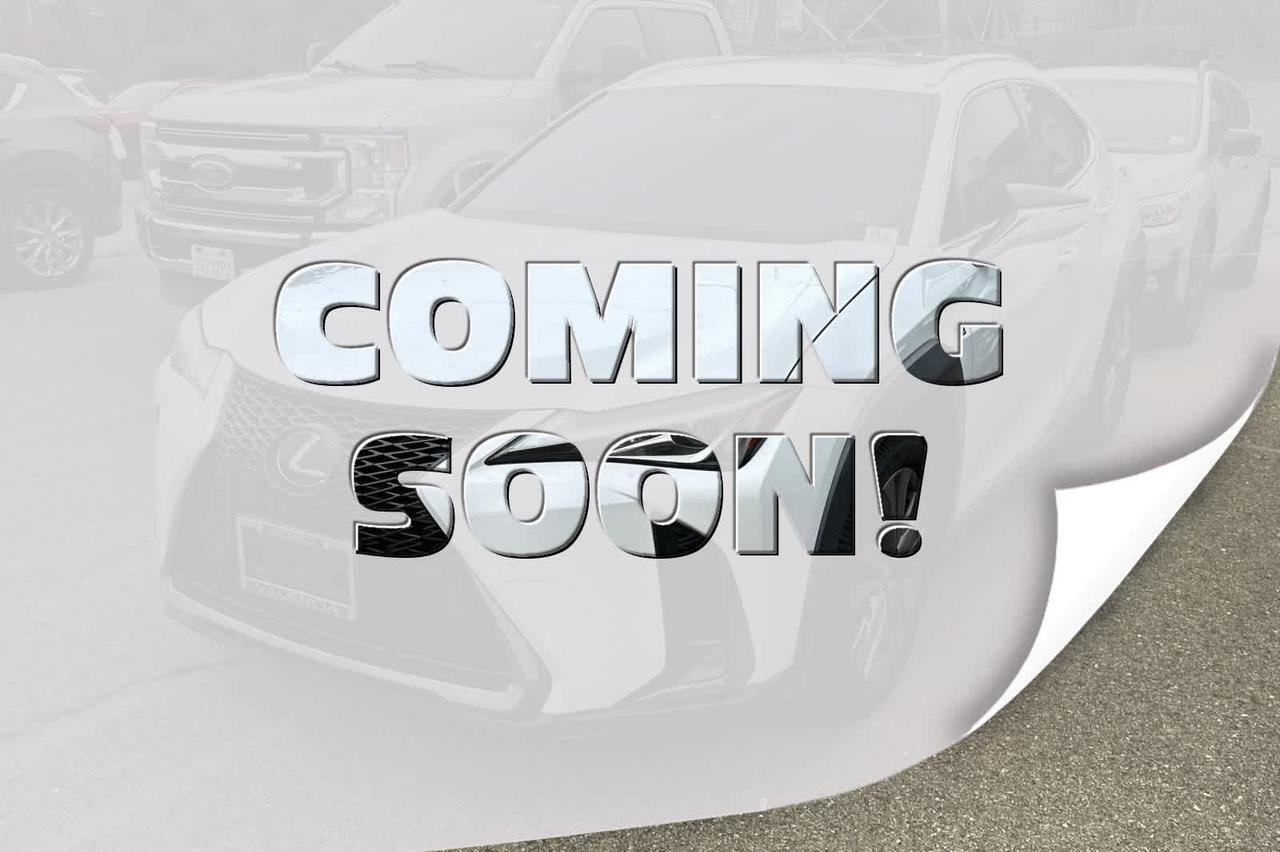 2019 Lexus UX F SPORT