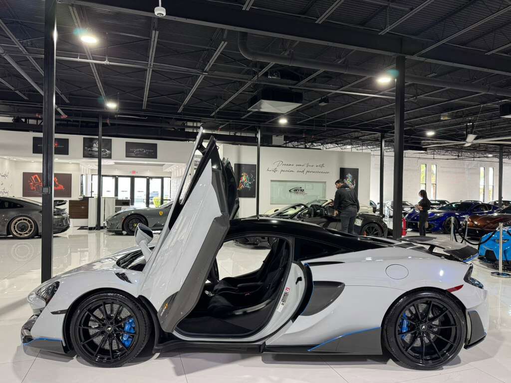 2019 McLaren 600LT MSO Cirrus Grey paint, MSO louvered fenders, P1 seats, carbon galore AND MORE!! Fort Lauderdale FL