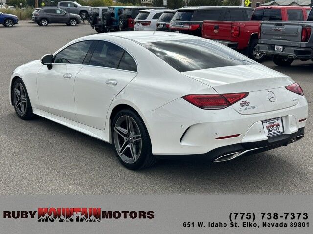 2019 Mercedes-Benz CLS CLS 450 Elko NV