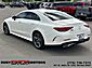 2019 Mercedes-Benz CLS CLS 450 Elko NV