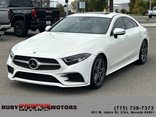 2019 Mercedes-Benz CLS CLS 450 Elko NV