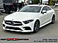 2019 Mercedes-Benz CLS CLS 450 Elko NV