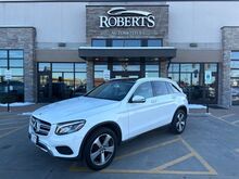 2019_Mercedes-Benz_GLC_GLC 300_ Springfield IL