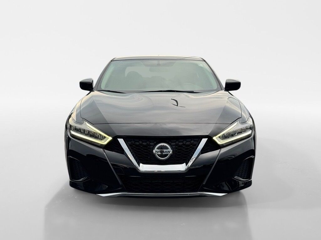2019 Nissan Maxima 3.5 S Morristown TN