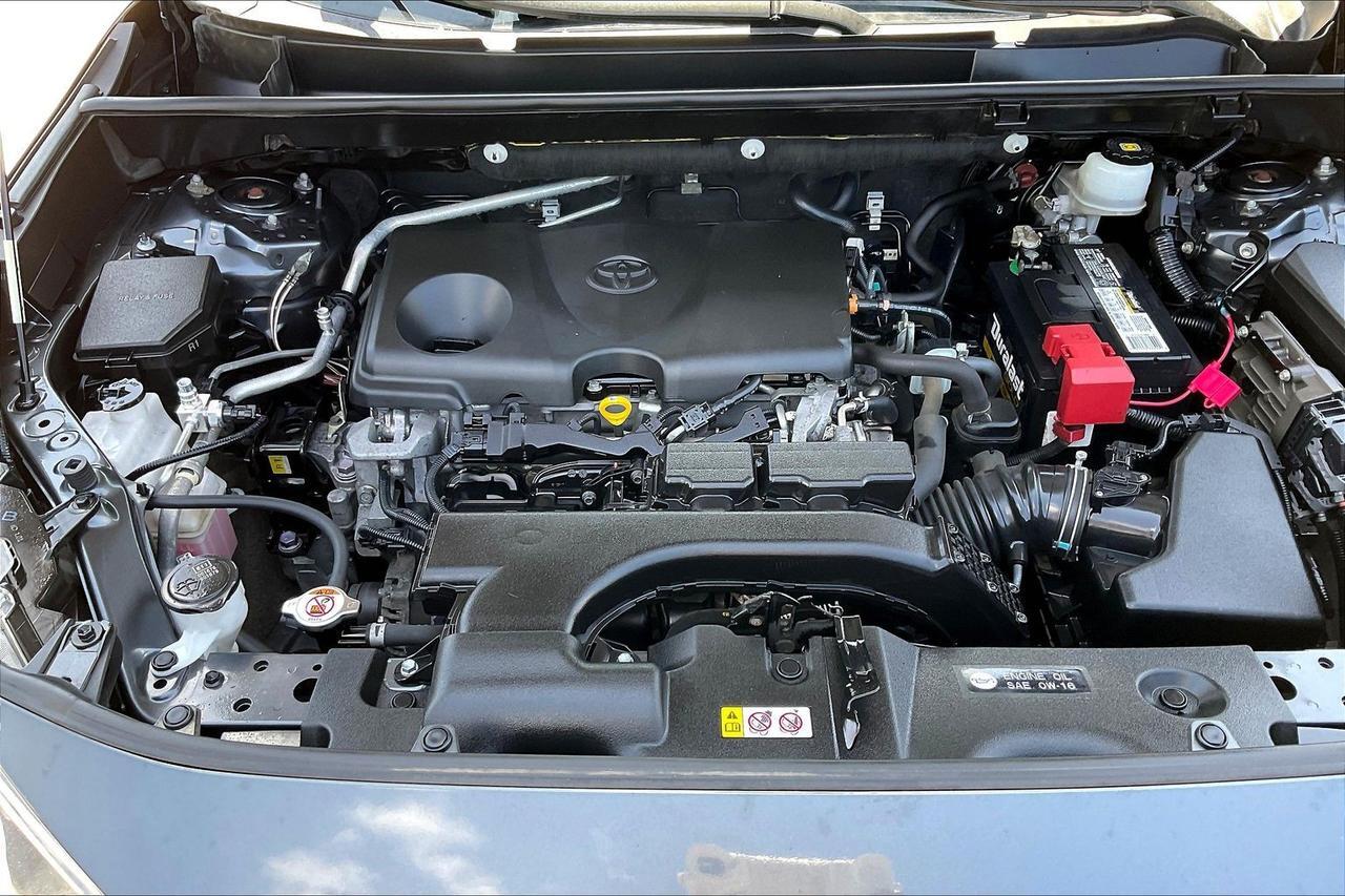 2019 TOYOTA RAV4 XLE Houston TX