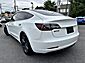 2019 Tesla Model 3 Long Range Whitehall PA