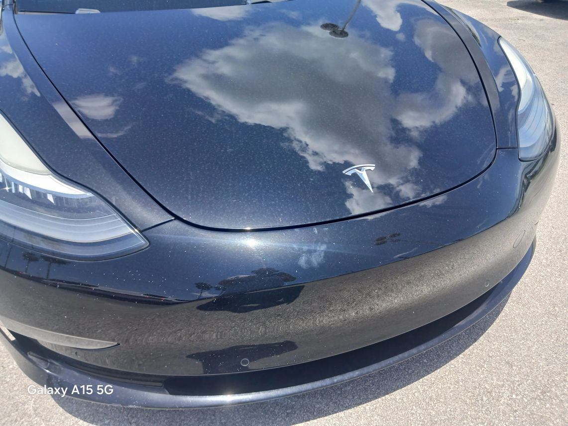 2019 Tesla Model 3 Performance Sedan 4D Maitland FL