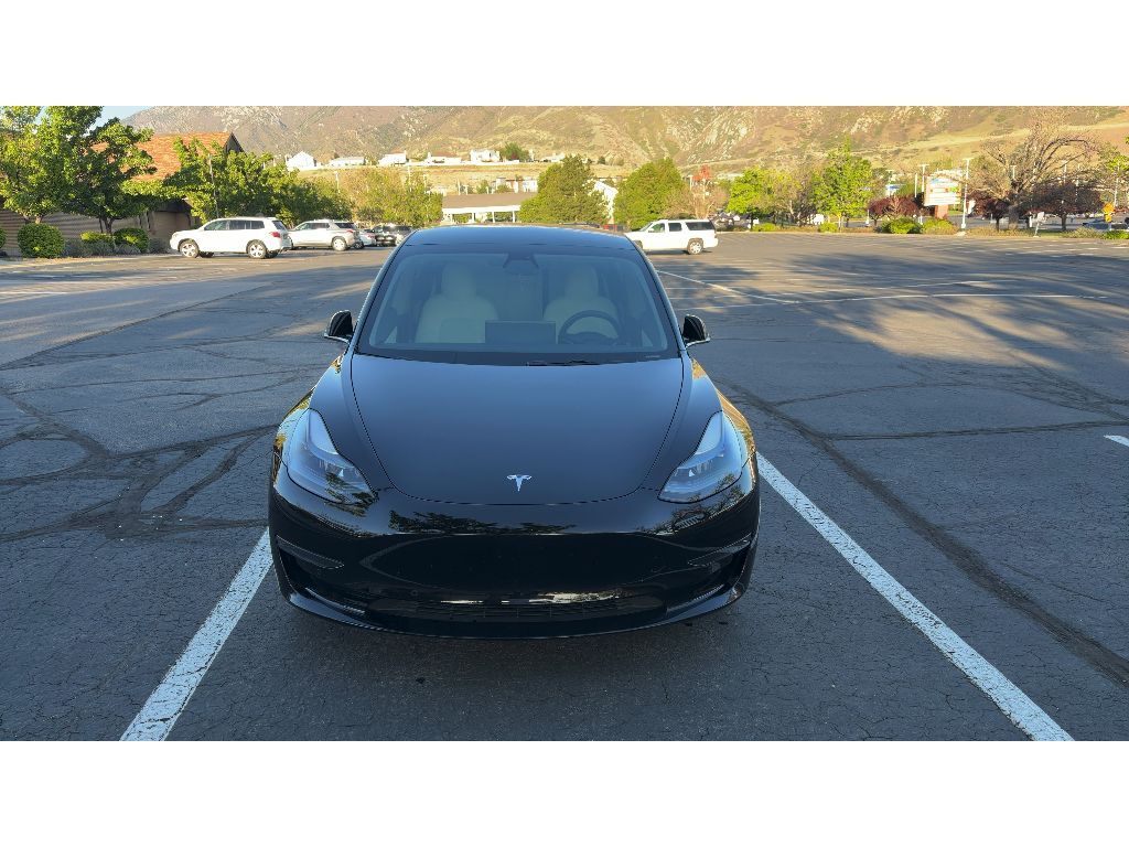 2019 Tesla Model 3 Standard Range Plus