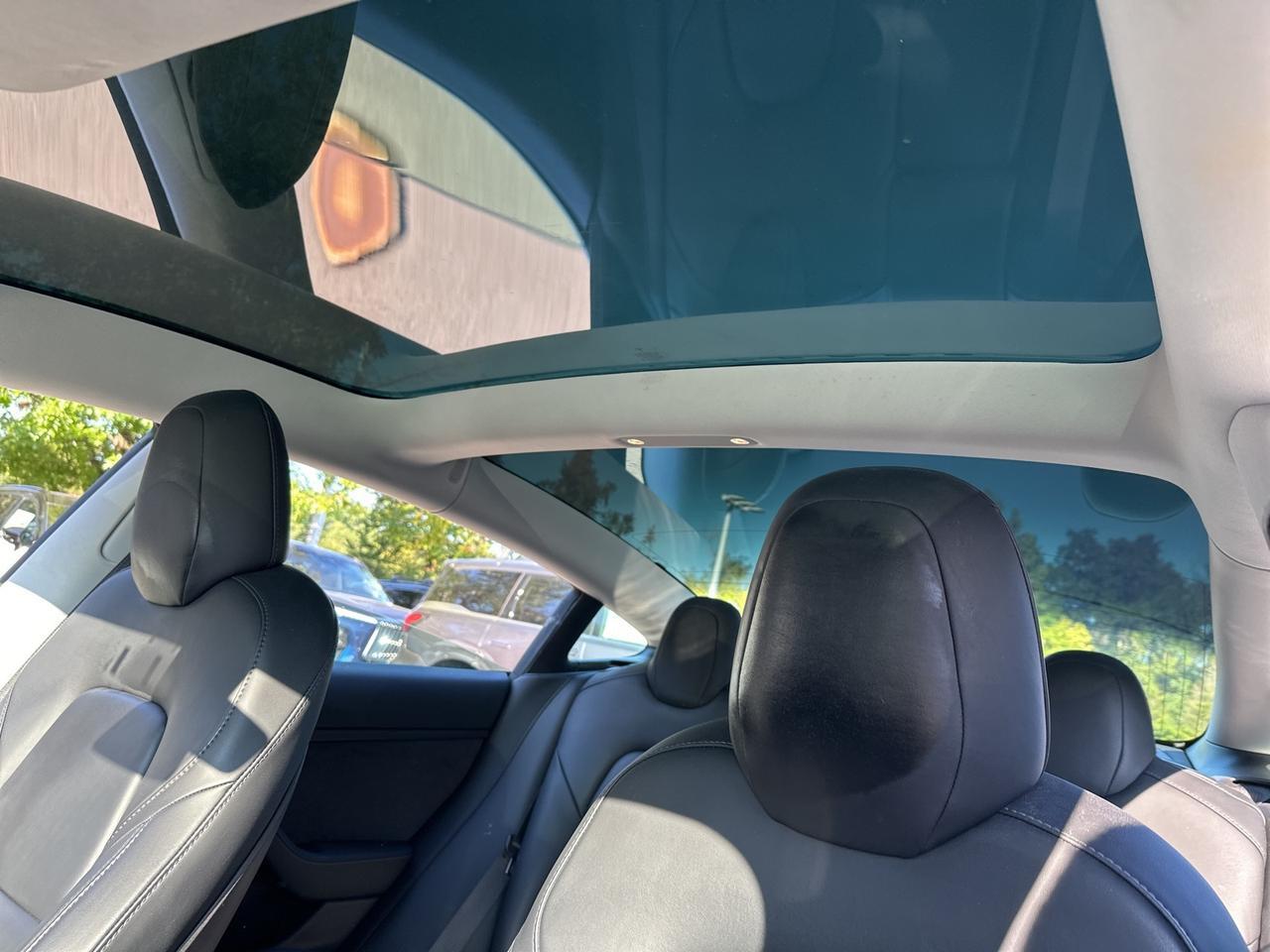 2019 Tesla Model 3 Standard Range Plus Chantilly VA