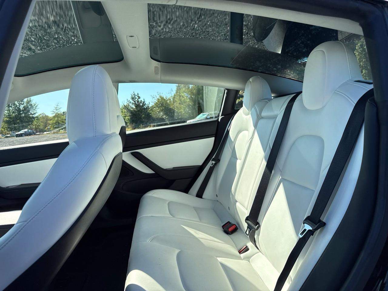 2019 Tesla Model 3 Standard Range Plus Chantilly VA