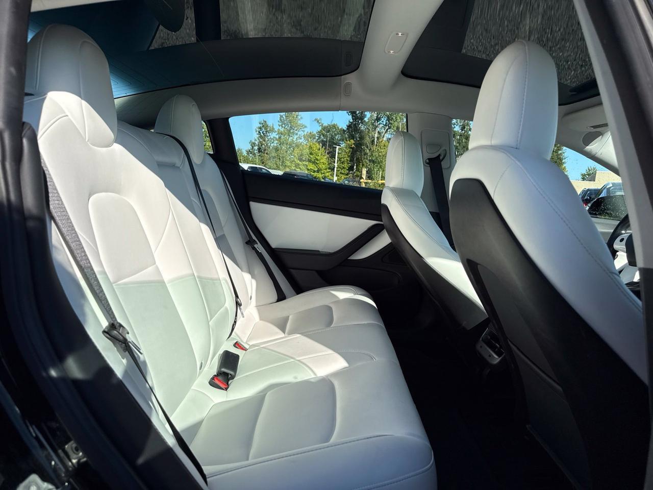 2019 Tesla Model 3 Standard Range Plus Chantilly VA