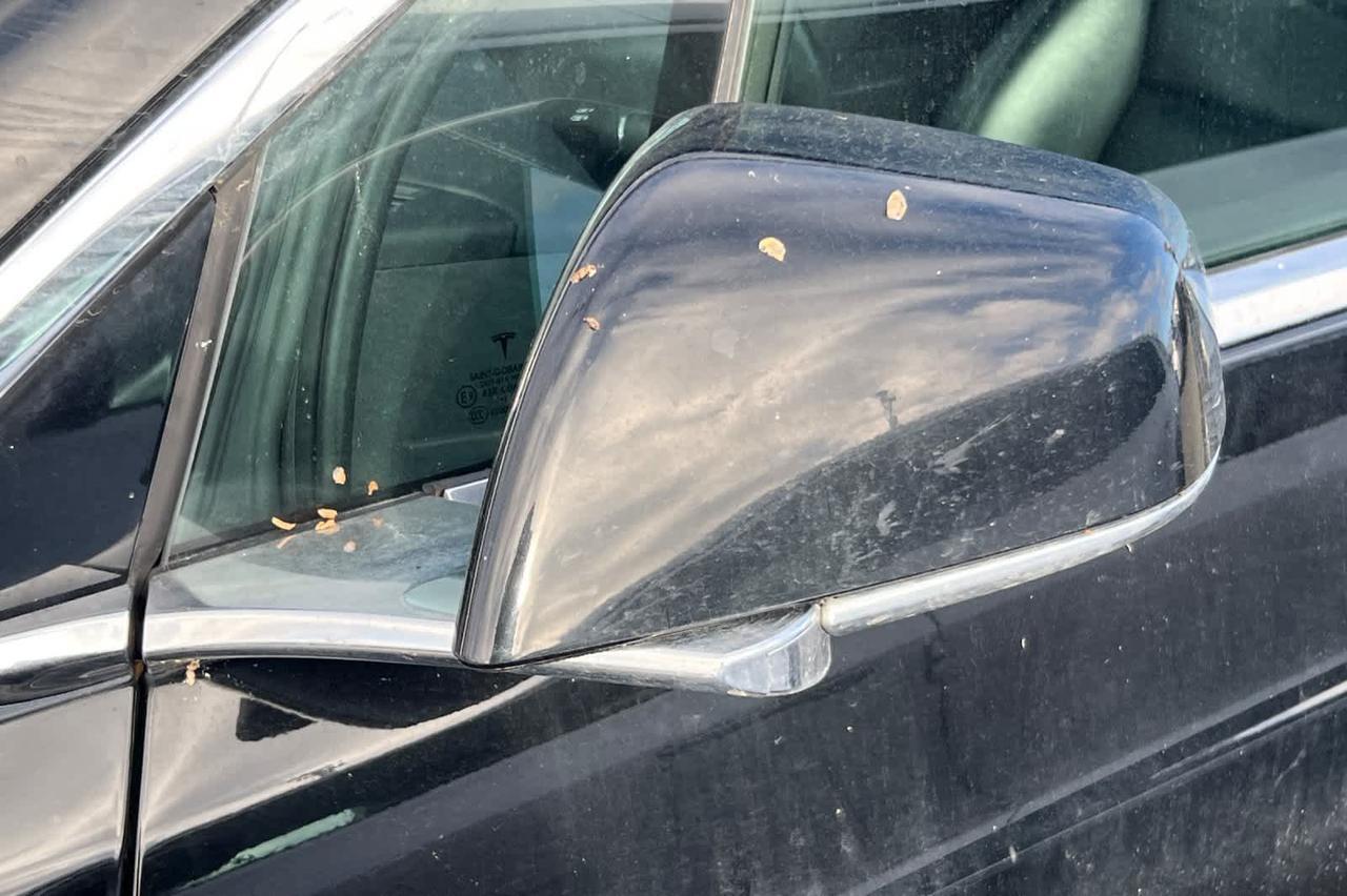 2019 Tesla Model X Long Range Roseville CA