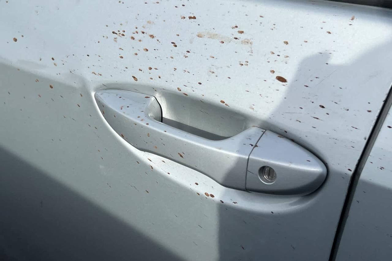 2019 Toyota Corolla L Roseville CA