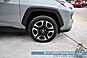 2019 Toyota RAV4 Adventure / AWD / Advanced Tech & Cold Weather Pkg / Heated & Cooled Leather Seats / Heated Steering / Adaptive Cruise / Lane Watch & Blind Spot Alert / Apple CarPlay & Android Auto / Back Up Cam / 1-Owner Anchorage AK