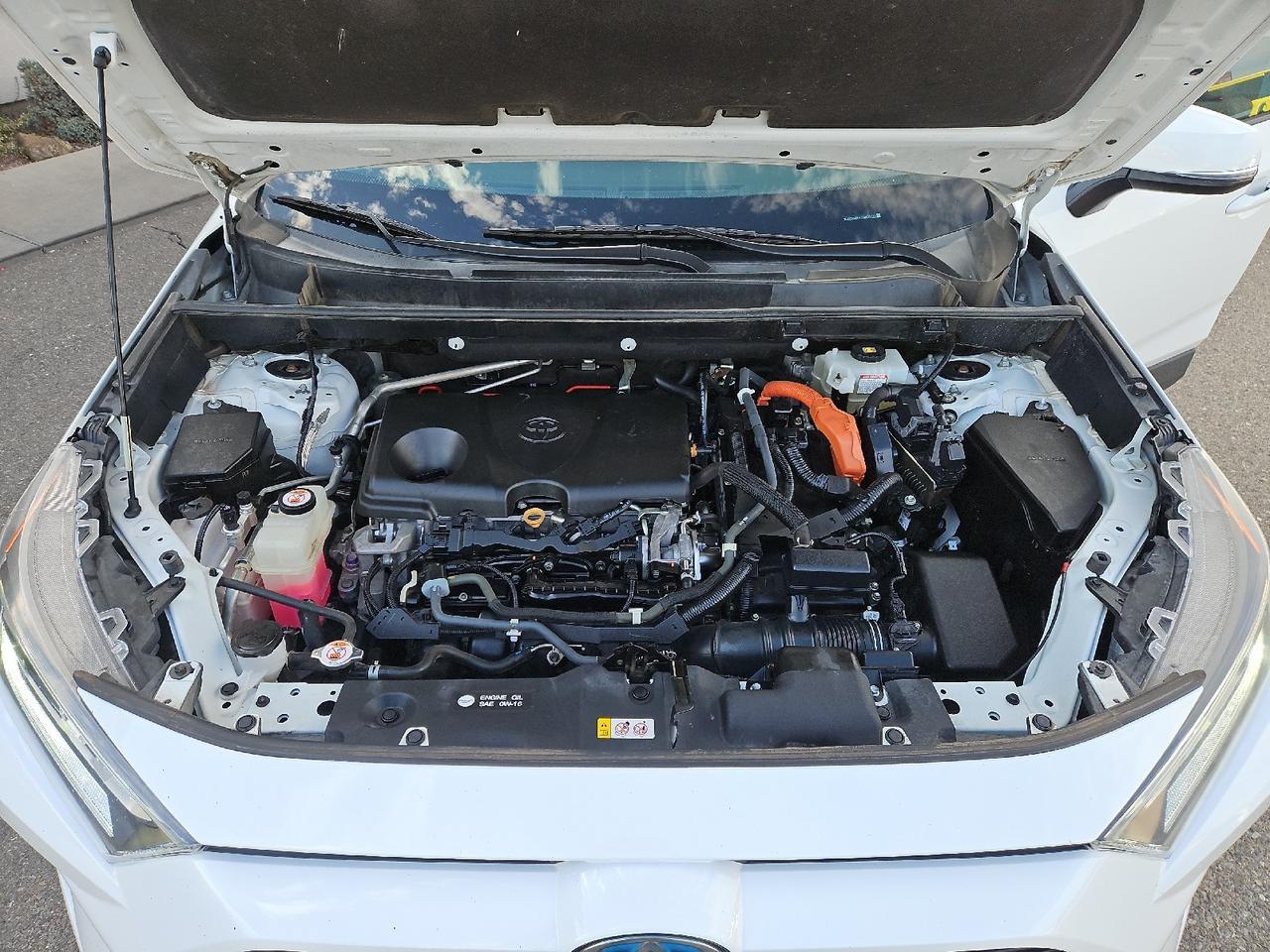 2019 Toyota RAV4 Hybrid XLE Grand Junction CO